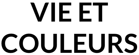 Vie et couleurs EPINAL Thaon-les-Vosges